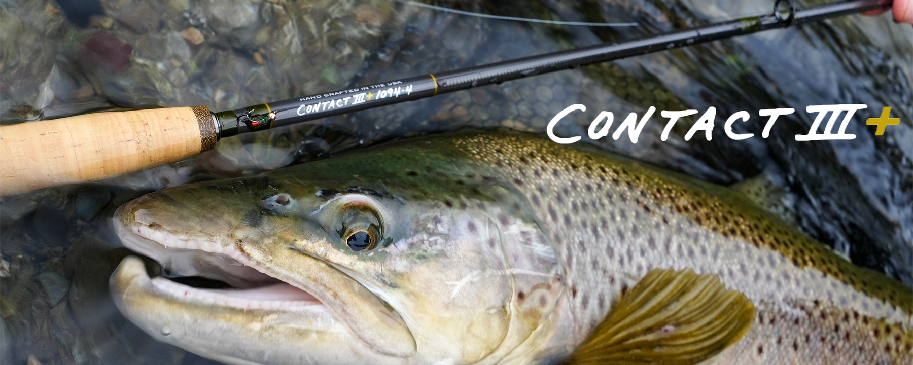Thomas & Thomas Contact III+ Release | Precision Fly & Tackle
