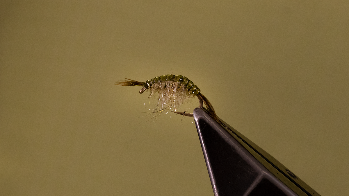 Fly Tying Tutorial - Simple Scud — Precisionflyandtackle