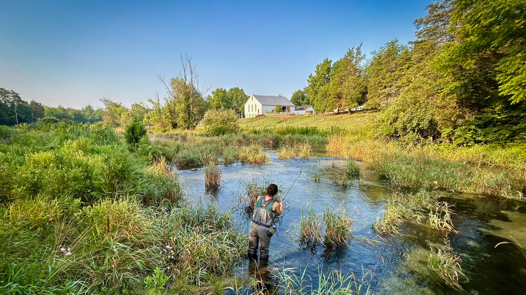Summertime Fly Fishing on Big Spring Creek