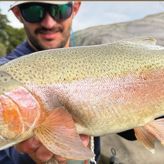New Zealand Fly Fishing Trip 2027 with Mike Komara