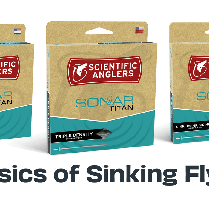 The Basics of Sinking Fly Lines