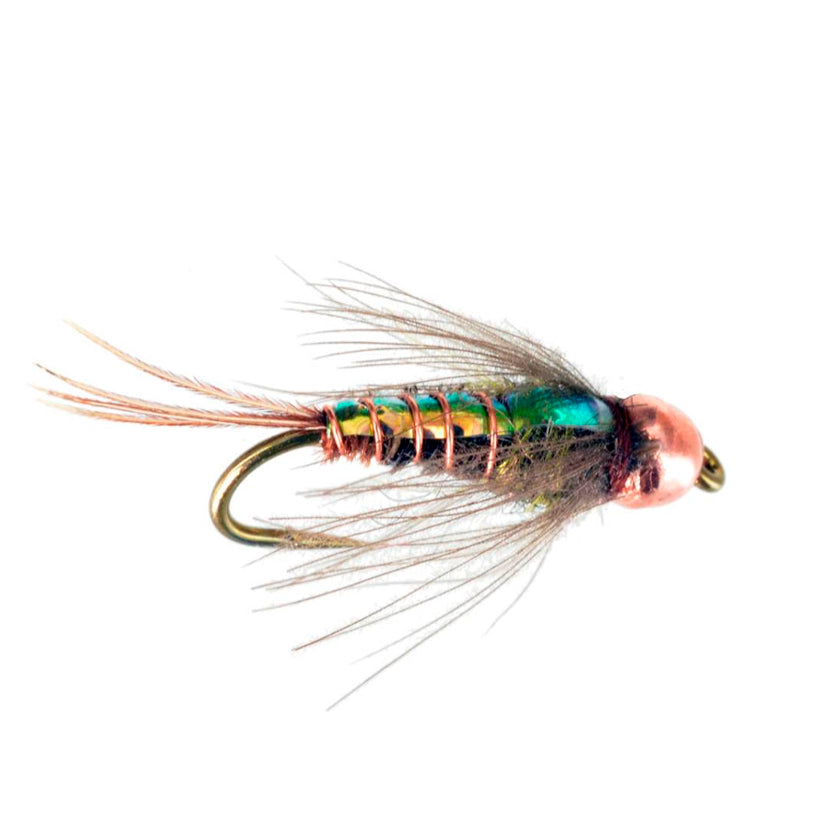 All Nymphs