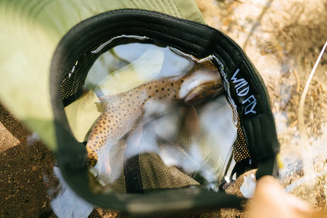 Wild Fly Adams Performace Hat-Olive