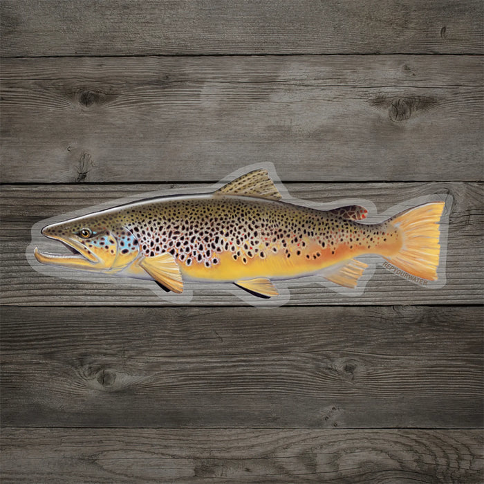 REPYOURWATER Brown Trout Sticker