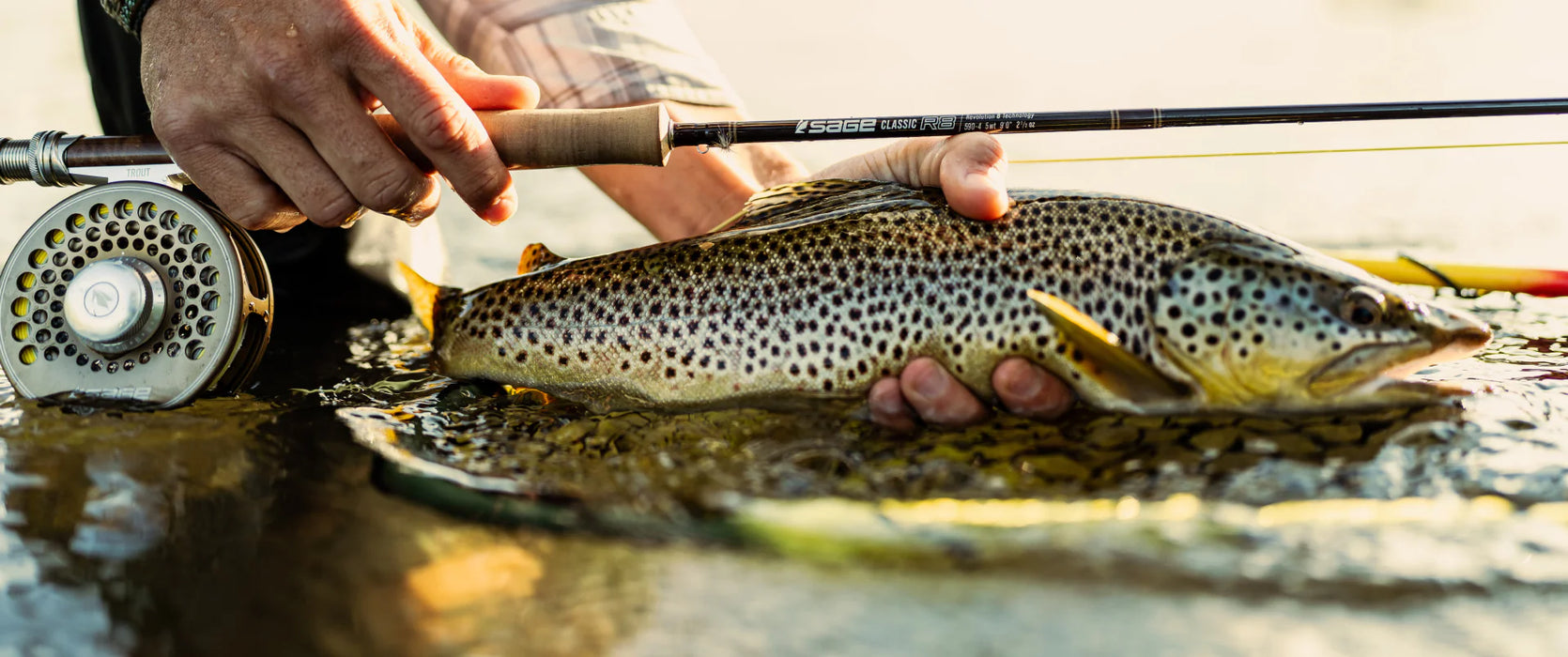 Sage Classic R8 Fly Rod