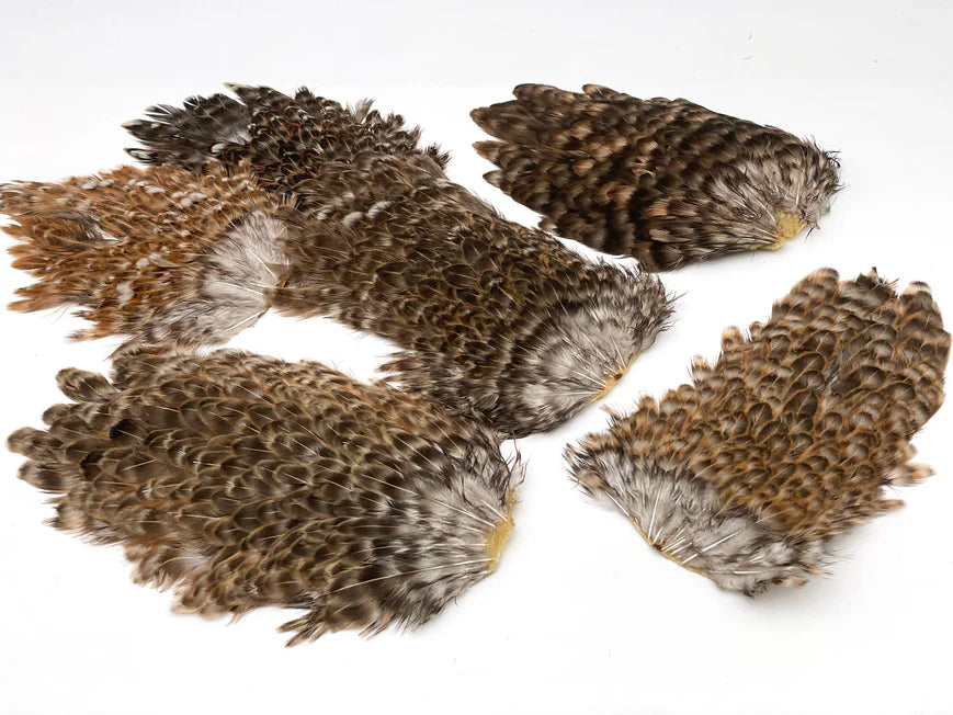 Moonlit India Hen Back Feather Patch