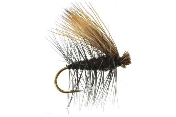 Caddis