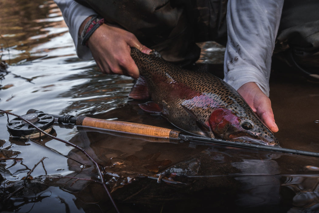 Cortland Crown Series Fly Reel — Precisionflyandtackle