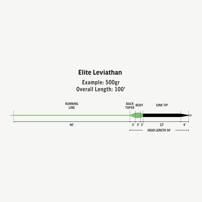 Rio Elite Leviathan Fly Line