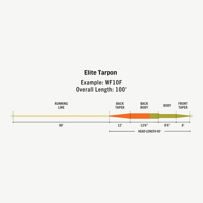 Rio Elite Tarpon Fly Line