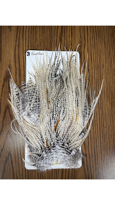 Sideling Hill Hackle Barred Cream Rooster Saddle No. 23