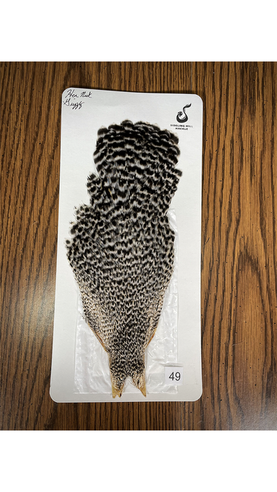 Sideling Hill Hackle Grizzly Hen Neck No. 49