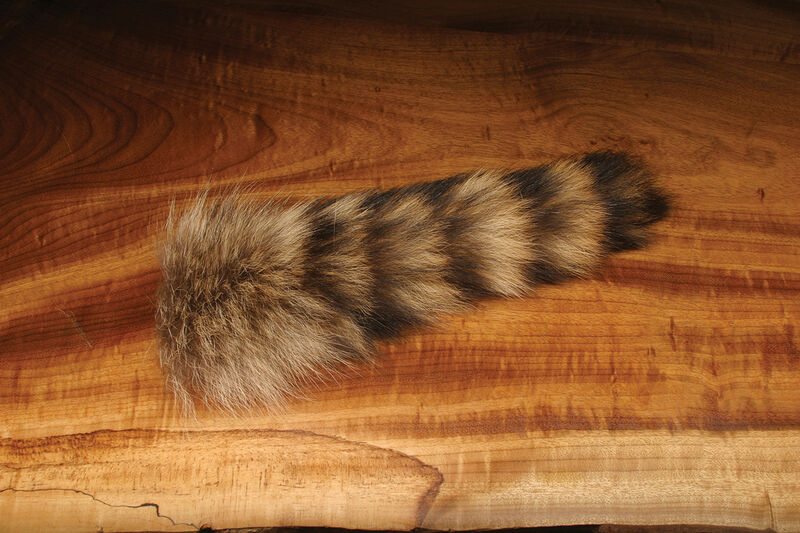 Complete Racoon Tail — Precisionflyandtackle