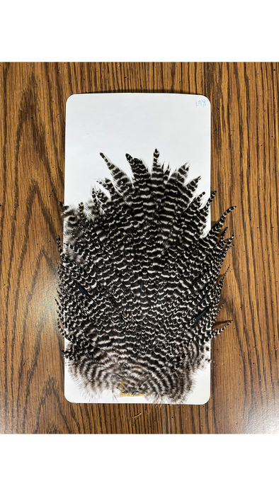 Sideling Hill Hackle Grizzly Hen Set No. 63