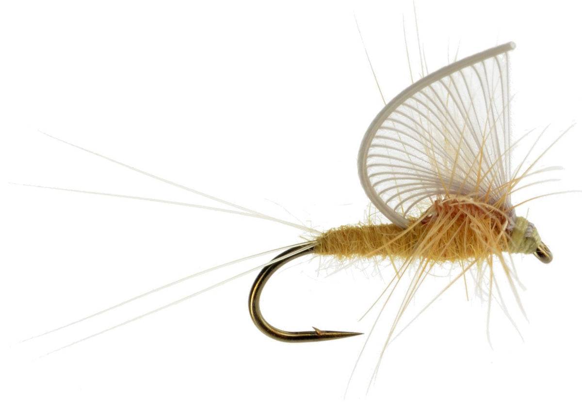 Half Hackle PMD — Precisionflyandtackle