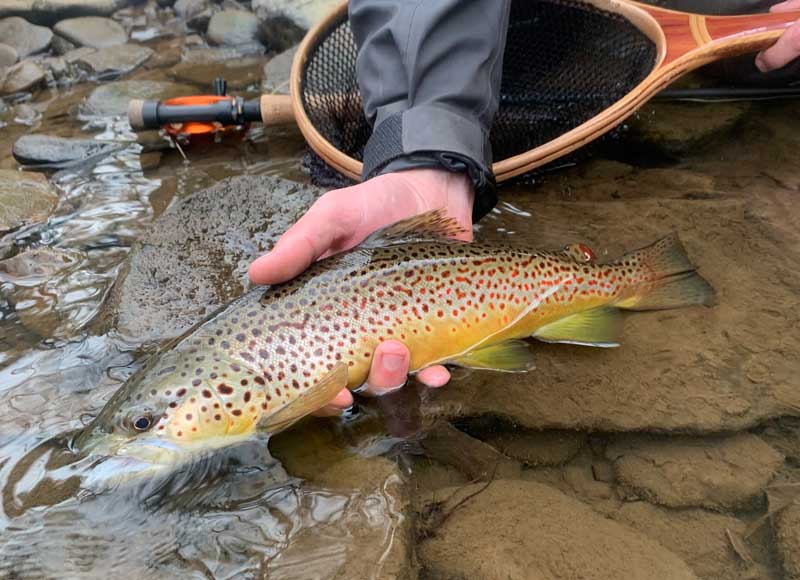 We thought of Everything so you can focus entirely on fishing and enjoying the experience.