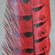 Hareline Ringneck Pheasant Tail Feathers