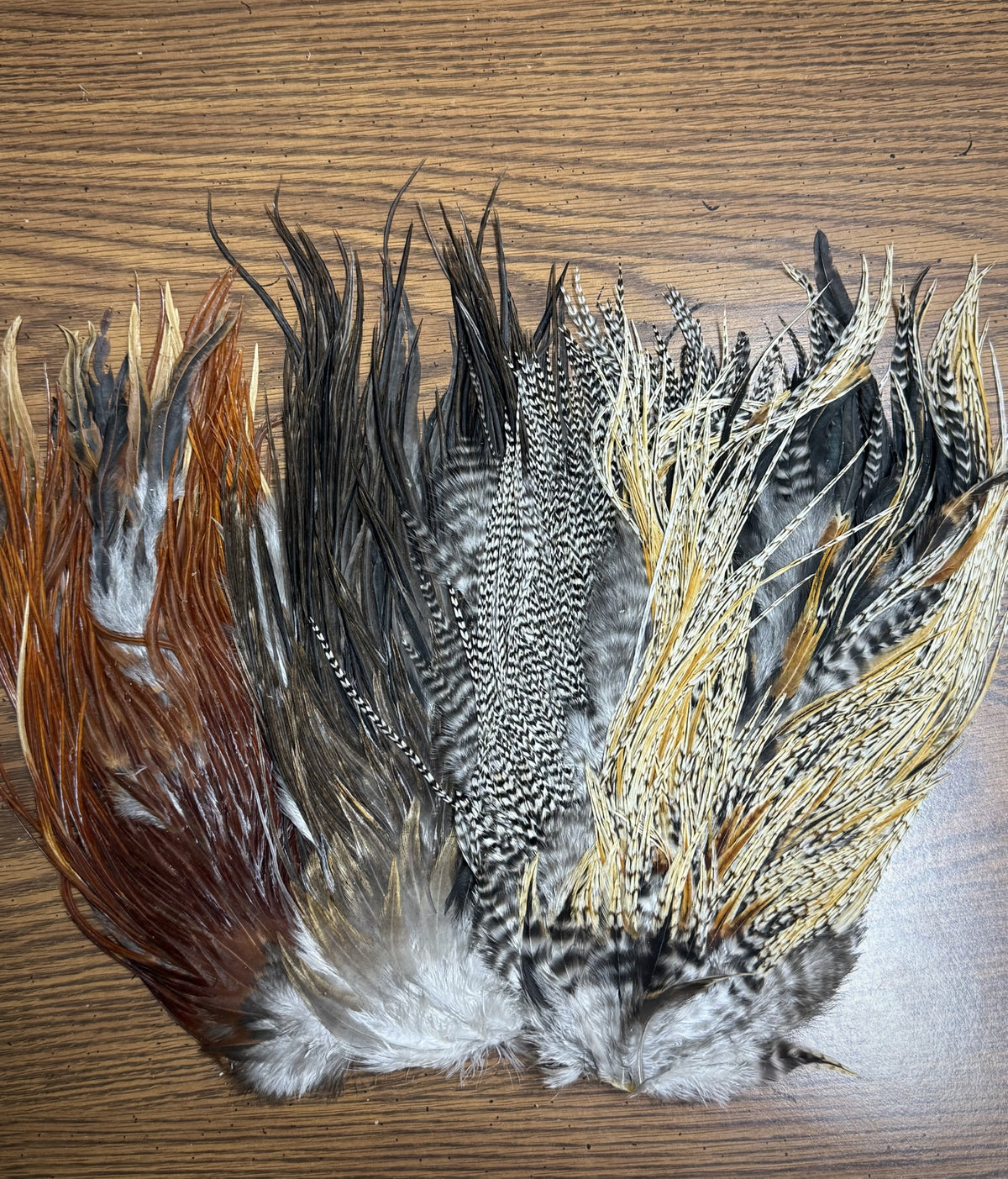 Sideling Hill Hackle 3B Bundle No. 70 — Precisionflyandtackle