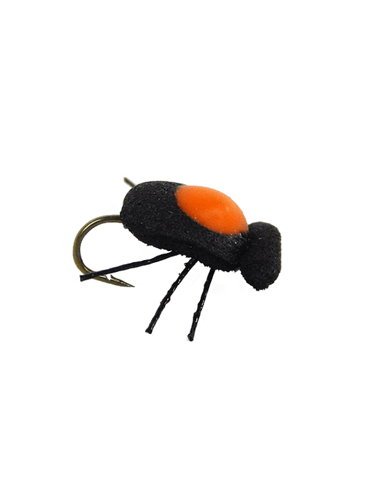 Quicksight Beetle