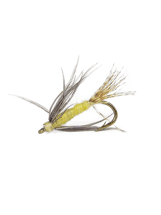 Soft Hackle Sulphur Dun Yellow Emerger