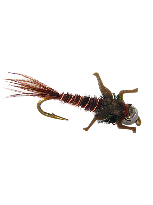 Holly's Lively Legs Pheasant Tail
