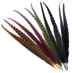 Ringneck Pheasant Tail Feathers (1 Pair)
