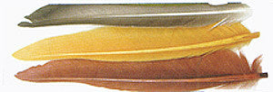 Duck Quill, 2 Pair