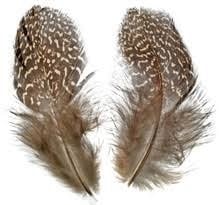 Wapsi Loose Partridge Feathers