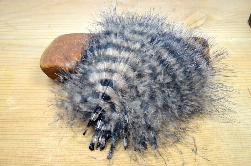 MFC Barred Marabou Blood Quill