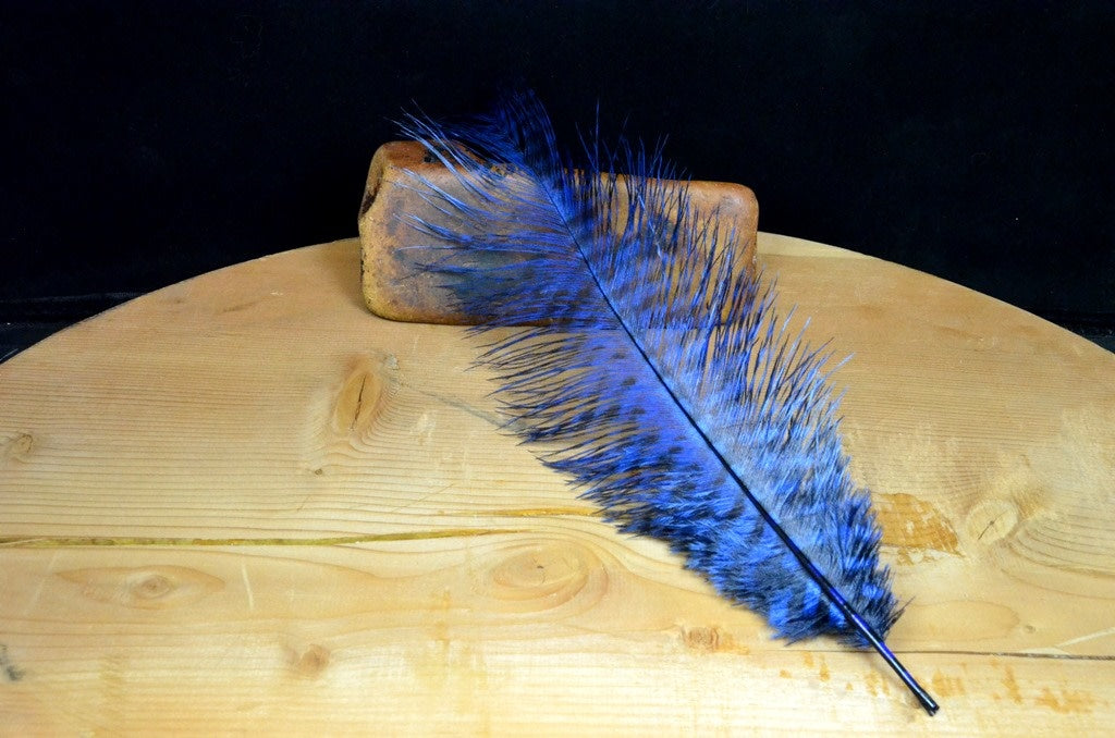 Strung Barred Ostrich