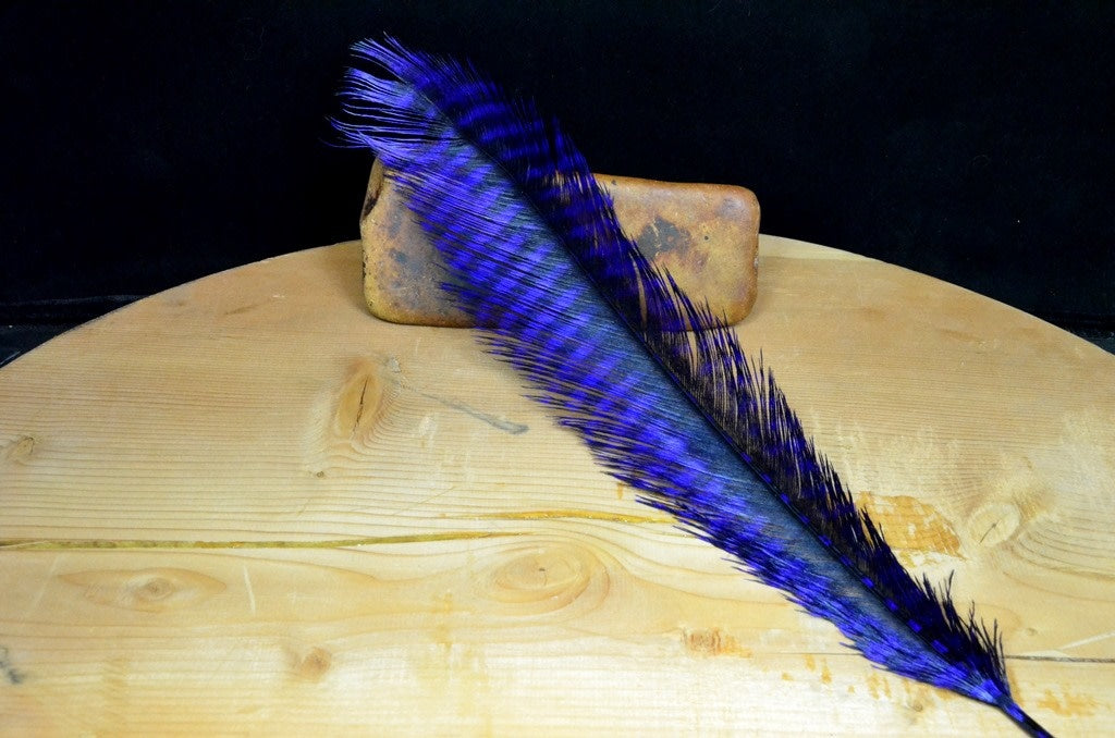 Strung Barred Ostrich