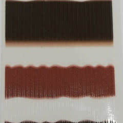 Synthetic Quills - Transparent Peccary