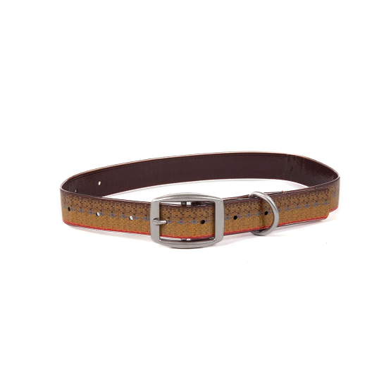 Salty Dog Collar